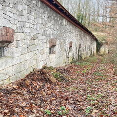 25-03-24 12-40-20 2626